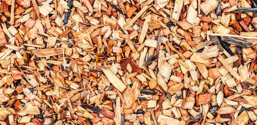 wood-chips-for-cardboard-manufacture Wood chippings