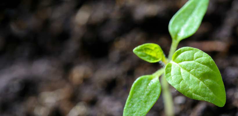 sustainable ecommerce packaging facts