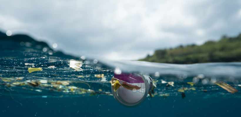 minimising-plastic-waste minimising plastic waste