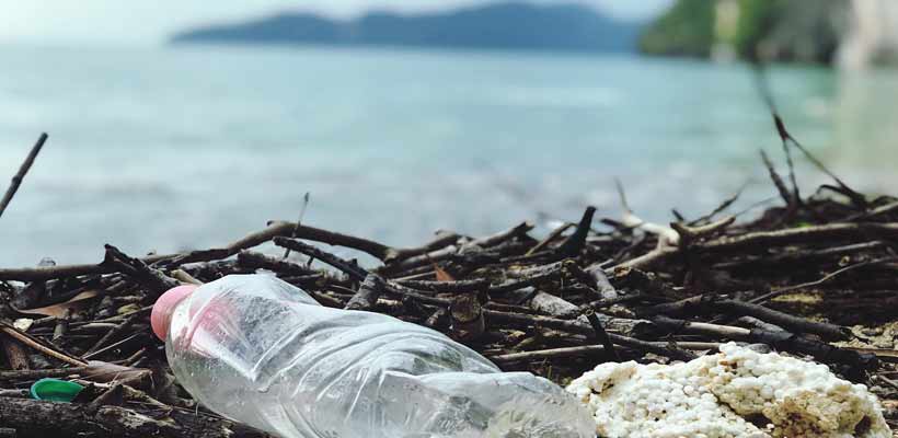 Unsustainable packaging A plastic bottle washed up on a beach