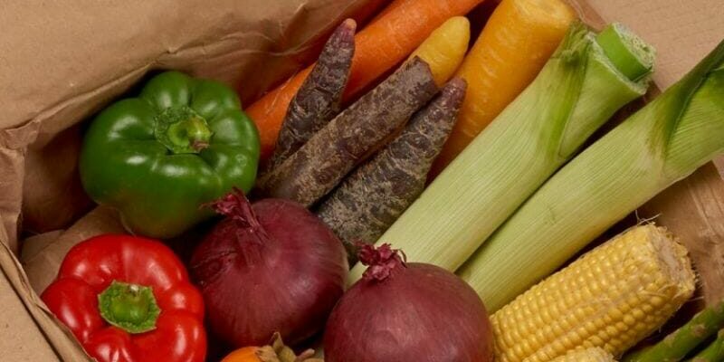 RecycoolMe with veggies