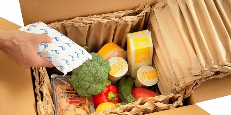 RecycoolMe inside with food and additional gel packs