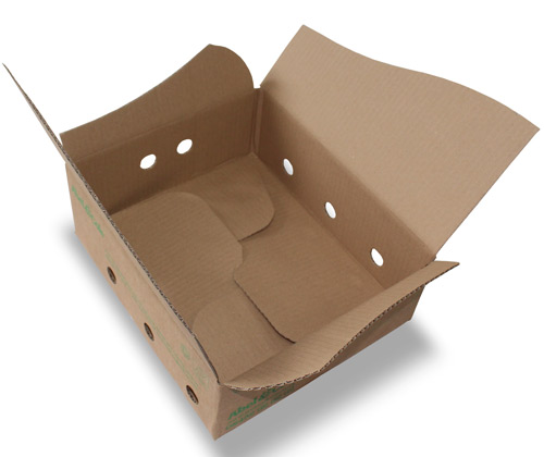 Crash lock box An empty brown cardboard crash lock box