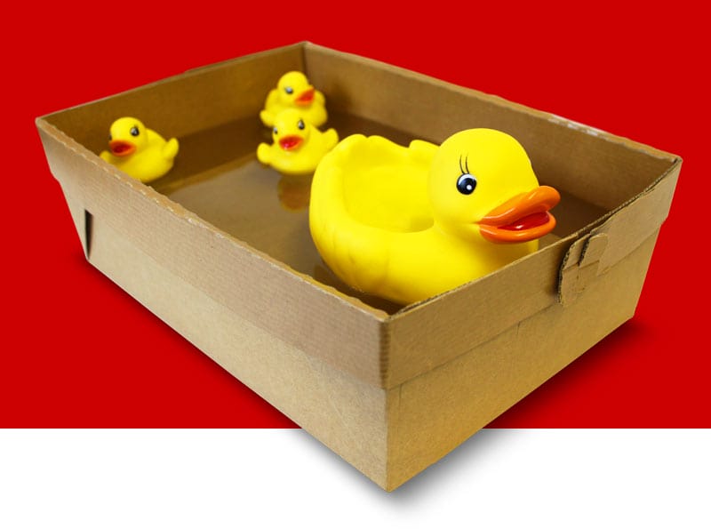 A waterproof cardboard tray manufactured by GWP Coatings