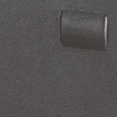 Scratch resistant case