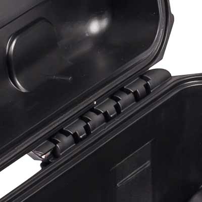 Case hinges Case hinges